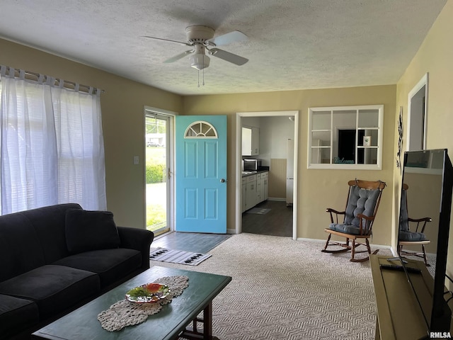 107 E Vermont St, Cambria, IL 62918 - living area with a ceiling fan, a textured ceiling, carpet flooring, and baseboards