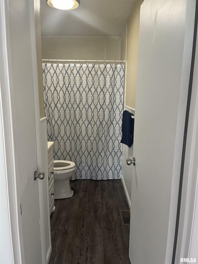 107 E Vermont St, Cambria, IL 62918 - bathroom featuring vanity, wood finished floors, toilet, and a shower with shower curtain