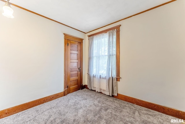314 W Locust St, Cambridge, IL 61238 - carpeted spare room featuring crown molding and baseboards