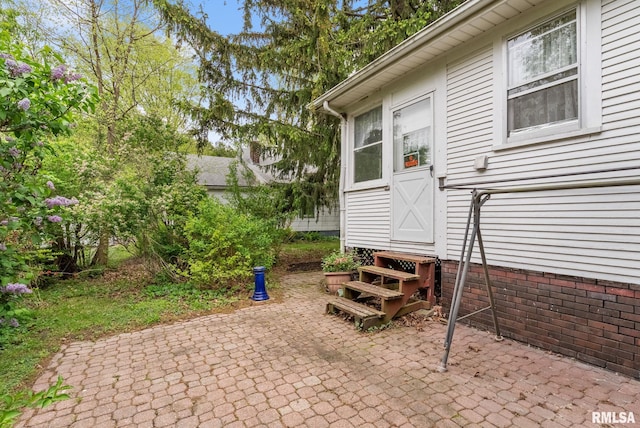 314 W Locust St, Cambridge, IL 61238 - view of patio / terrace featuring entry steps