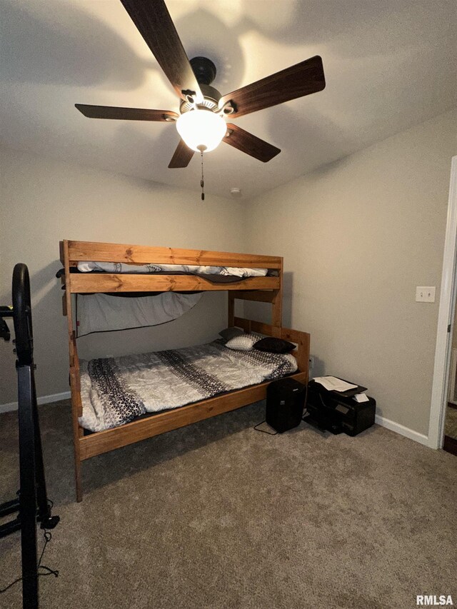 12101 Blue Sky Dr, Marion, IL 62959 - photo 23