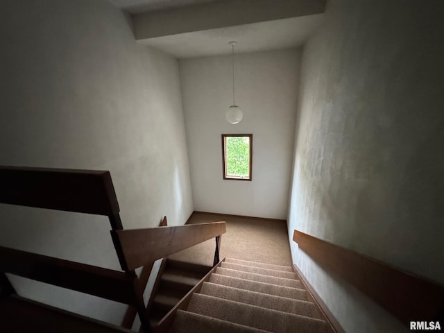 3143 4th St Unit 3143, Moline, IL 61265 - stairway with carpet flooring
