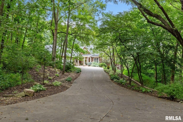 27998 229th St, Le Claire, IA 52753 - view of community featuring curved driveway