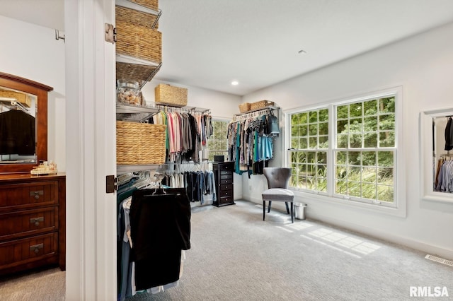 27998 229th St, Le Claire, IA 52753 - walk in closet with carpet flooring