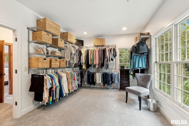 27998 229th St, Le Claire, IA 52753 - walk in closet with carpet flooring