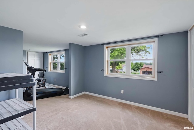 21704 283rd Ave, Le Claire, IA 52753 - exercise area featuring carpet flooring and baseboards