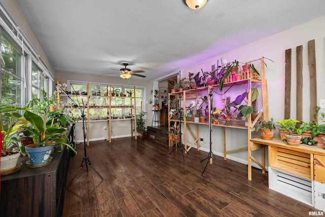 3610 12th Ave, Moline, IL 61265 - view of sunroom / solarium