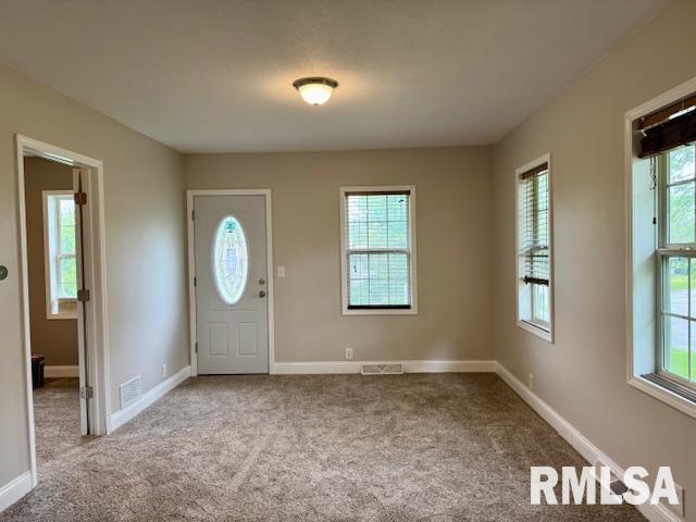 1203 13th Ave S, Clinton, IA 52732 - carpeted foyer featuring baseboards