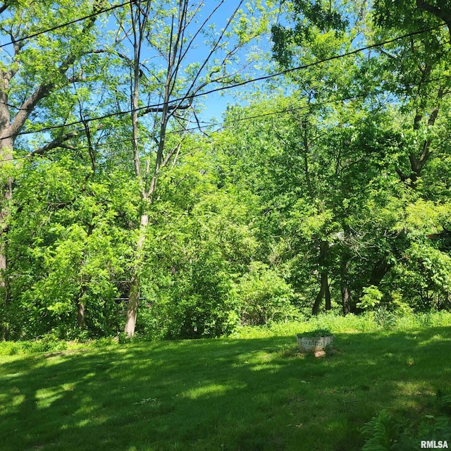 2727 32nd Avenue Ct, Rock Island, IL 61201 - view of woods