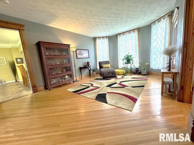 109 W 6th St, Wilton, IA 52778 - sitting room featuring light wood-type flooring, a textured ceiling, and baseboards