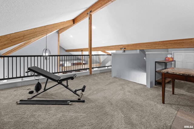 1335 N Utah Ave, Davenport, IA 52804 - exercise room featuring carpet and vaulted ceiling