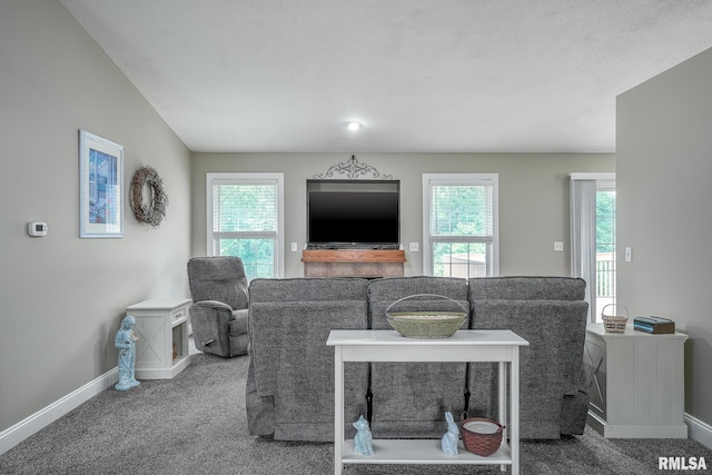 6939 Cresthill Dr, Davenport, IA 52806 - living area with baseboards, carpet, and plenty of natural light