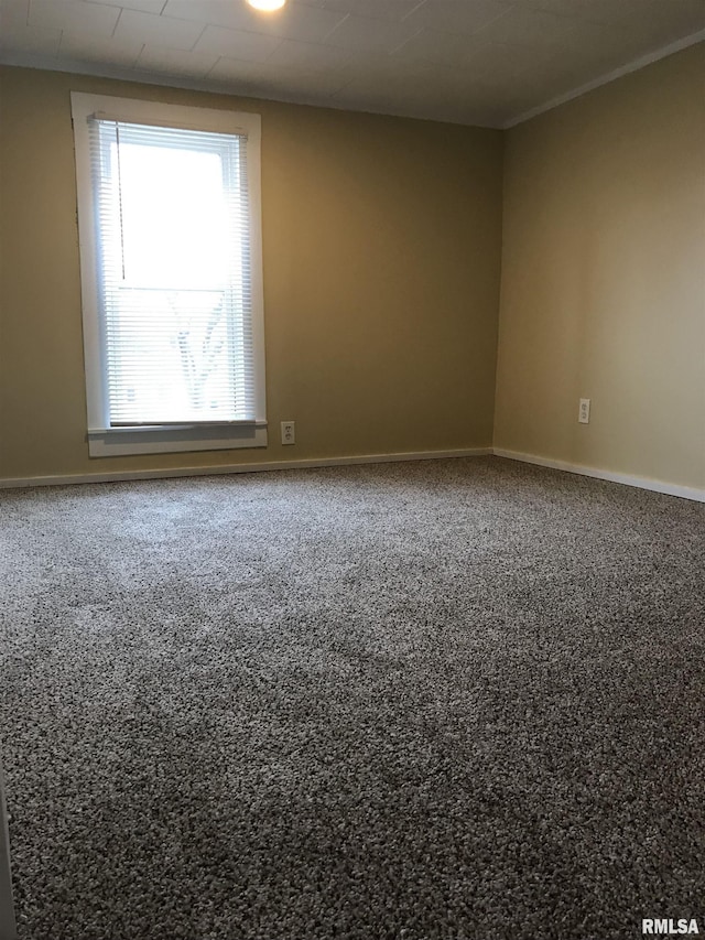 211 Chestnut St, Cambria, IL 62915 - spare room featuring baseboards and carpet floors