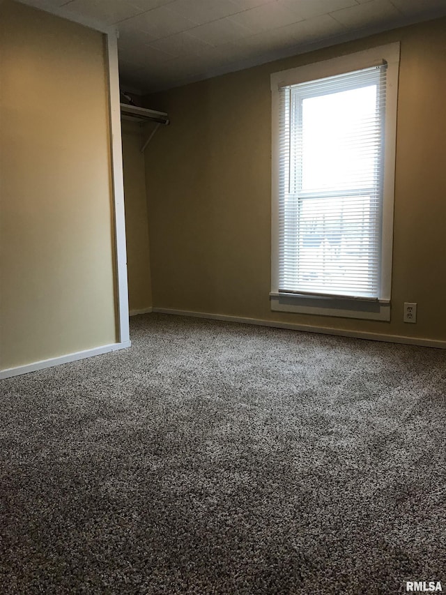 211 Chestnut St, Cambria, IL 62915 - walk in closet with carpet floors