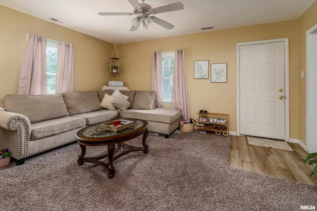 231 Mcneil St, Carterville, IL 62918 - photo 4