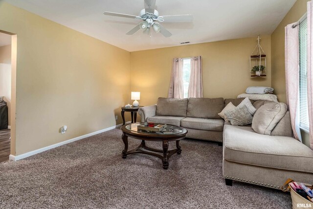 231 Mcneil St, Carterville, IL 62918 - photo 6