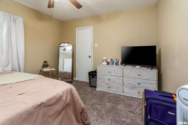 231 Mcneil St, Carterville, IL 62918 - photo 8