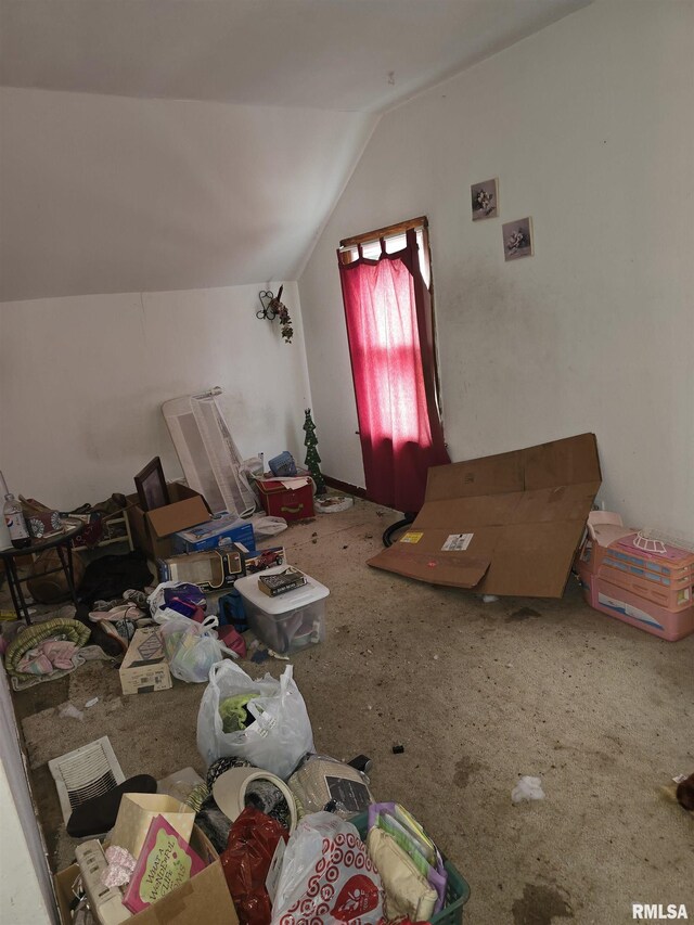 200 Muscatine St, Dixon, IA 52745 - additional living space with vaulted ceiling