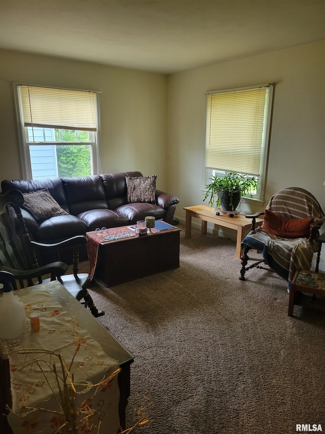 2322 4th St Unit A, East Moline, IL 61244 - view of carpeted living room