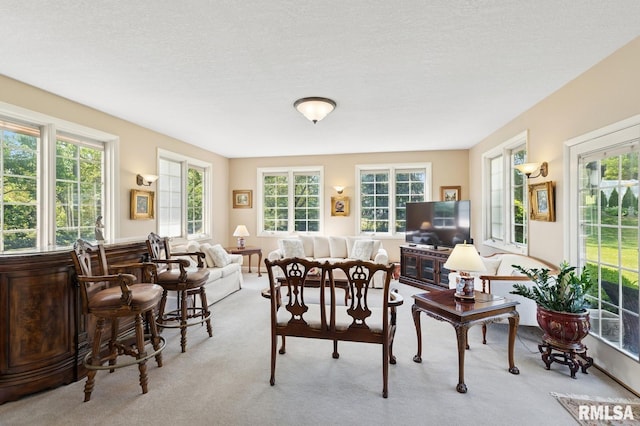 741 12th Ave N, Clinton, IA 52732 - living area with light carpet, plenty of natural light, and a textured ceiling