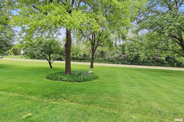 1104 Kimberly Rd Unit 1006, Bettendorf, IA 52722 - view of green lawn featuring view of scattered trees