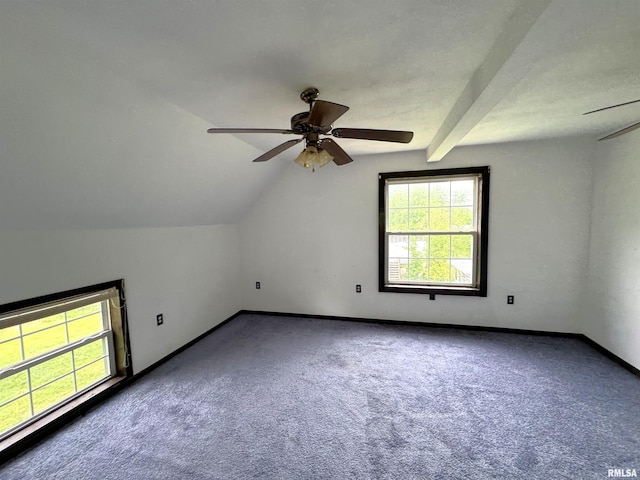 116 W 13th St, Kewanee, IL 61443 - additional living space featuring a ceiling fan, carpet, and baseboards