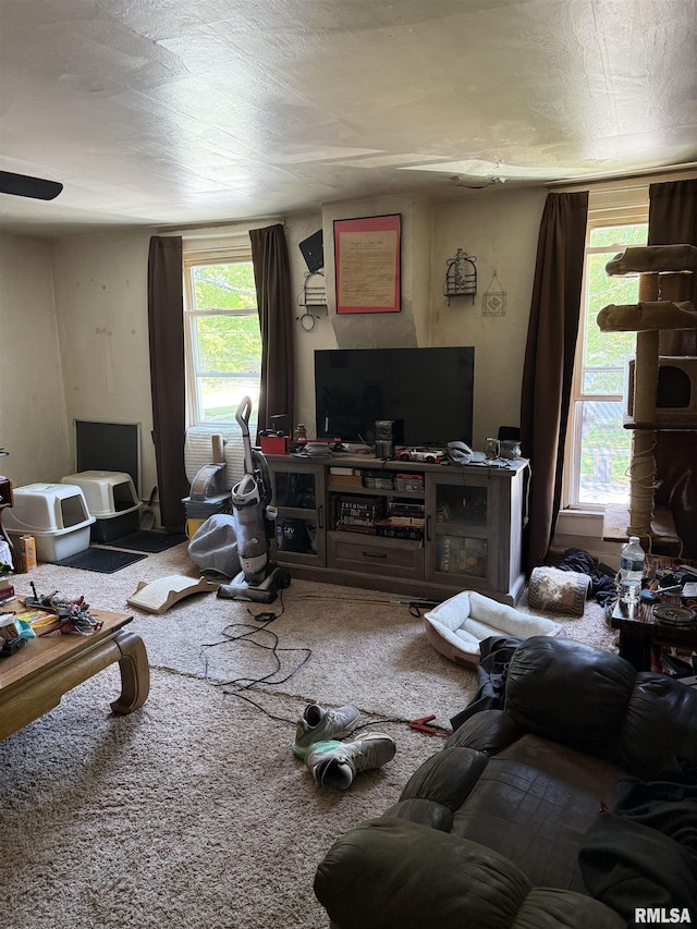 105-109 NE 5th Ave, Aledo, IL 61231 - living room featuring carpet flooring and ceiling fan