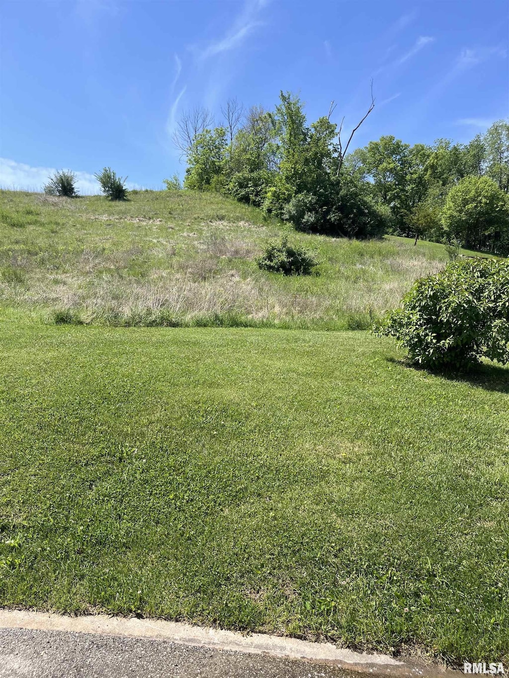 730 Bambi Ct, Andalusia, IL 61232 - photo 1