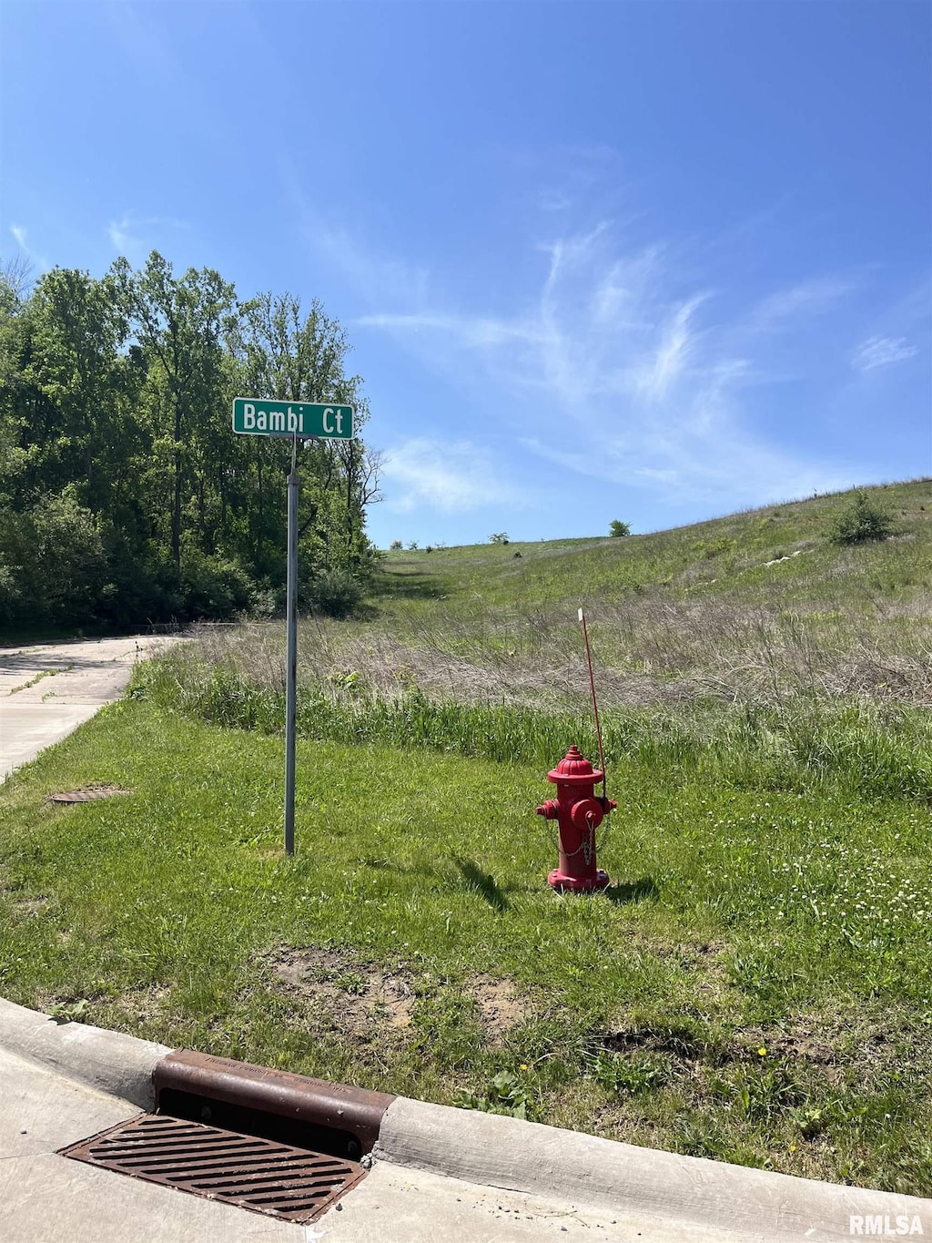 724 Bambi Ct, Andalusia, IL 61232