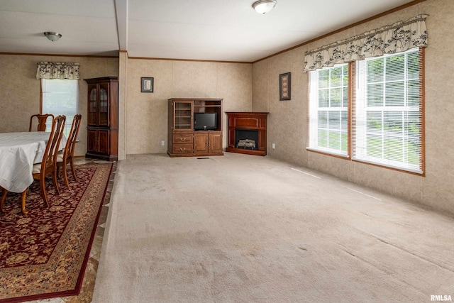 402 S Meadow St, Royalton, IL 62983 - unfurnished living room featuring ornamental molding, carpet flooring, and a fireplace