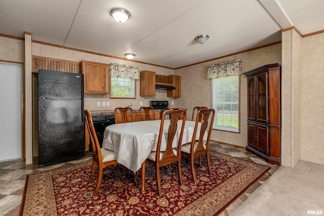 402 S Meadow St, Royalton, IL 62983 - dining room featuring crown molding and plenty of natural light