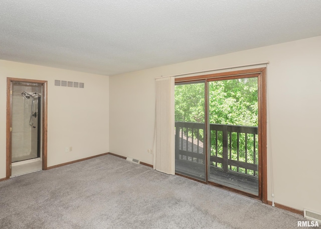 3 Wildwood Trl, Bettendorf, IA 52722 - empty room featuring carpet, baseboards, and a textured ceiling