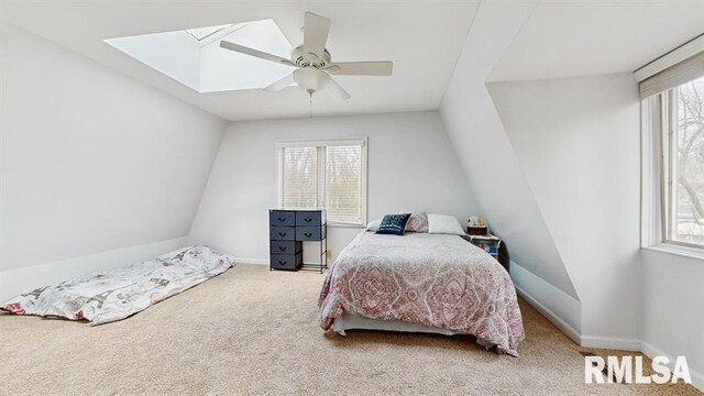 1229 35th Ave, Moline, IL 61265 - photo 18