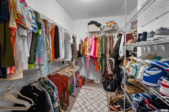 510 W Pinehurst Dr, Eldridge, IA 52748 - spacious closet with carpet flooring