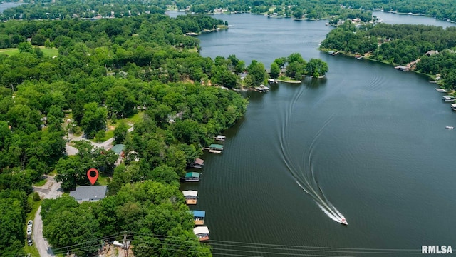 605 Lakeshore Dr S, Goreville, IL 62939 - bird's eye view of a nearby body of water