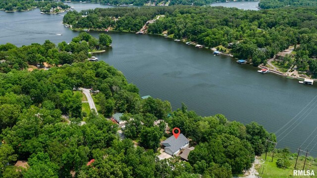 605 Lakeshore Dr S, Goreville, IL 62939 - bird's eye view of a nearby body of water and a forest