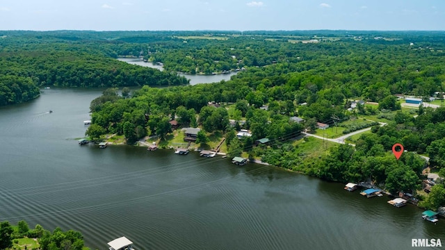 605 Lakeshore Dr S, Goreville, IL 62939 - drone / aerial view of a forest and a large body of water