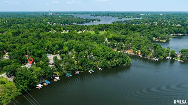 605 Lakeshore Dr S, Goreville, IL 62939 - aerial view of a large body of water and a heavily wooded area