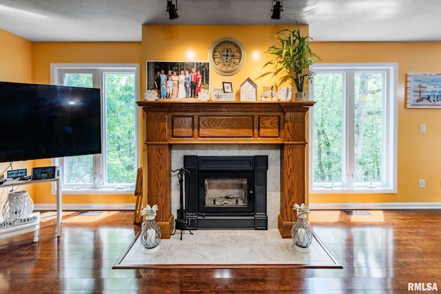 605 Lakeshore Dr S, Goreville, IL 62939 - detailed view of wood finished floors, a fireplace, and rail lighting