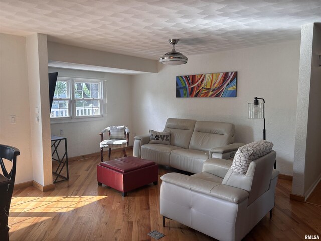 462 Circle Dr, Kewanee, IL 61443 - living area featuring baseboards and wood finished floors