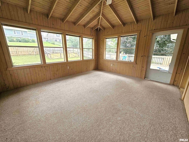 4325 N Lincoln Ave, Davenport, IA 52806 - unfurnished sunroom featuring carpet and wooden walls