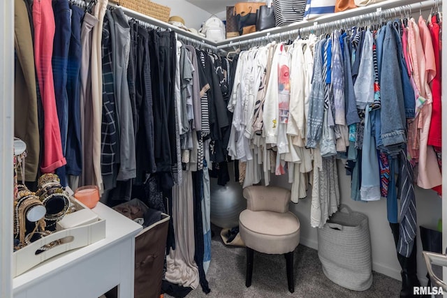 3160 Sycamore Rd, Carterville, IL 62918 - spacious closet with carpet