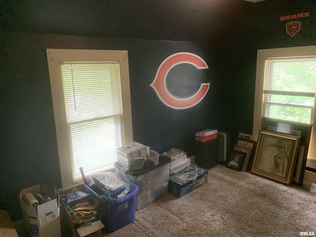 1424 29th Ave, Moline, IL 61265 - bedroom with multiple windows and carpet