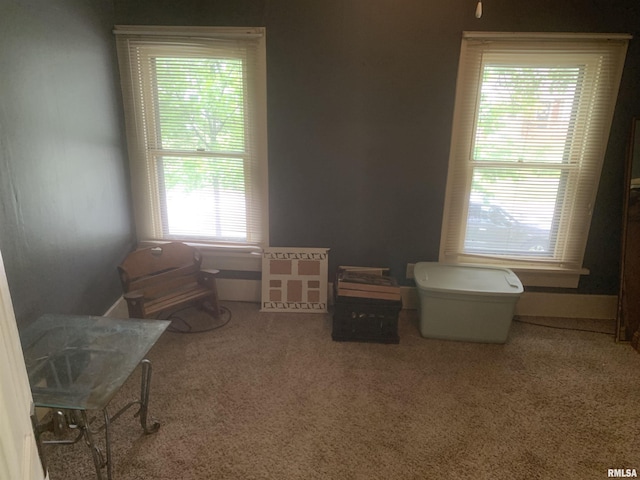1424 29th Ave, Moline, IL 61265 - living area featuring healthy amount of natural light and carpet