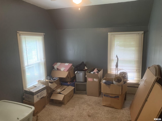 1424 29th Ave, Moline, IL 61265 - interior space featuring carpet flooring, vaulted ceiling, and multiple windows