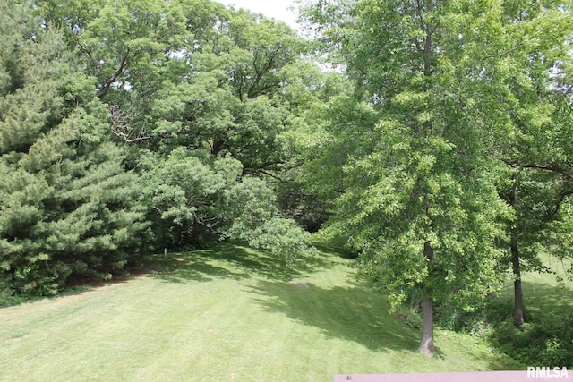 24176 Stagecoach Rd, Geneseo, IL 61254 - view of grassy yard