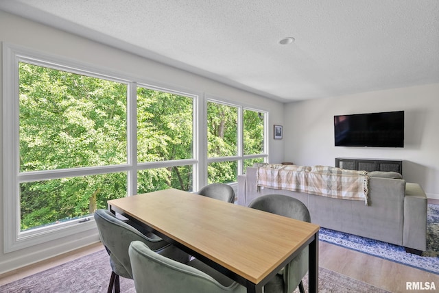 28013 230th St, Le Claire, IA 52753 - dining room featuring a textured ceiling and wood finished floors