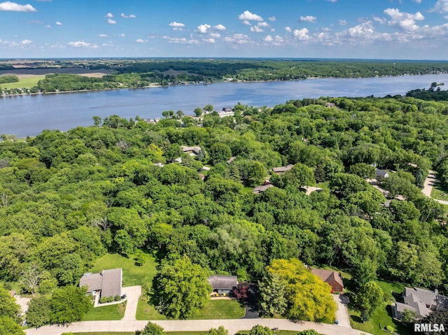 28013 230th St, Le Claire, IA 52753 - bird's eye view of a forest and a nearby body of water