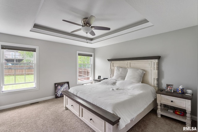 1625 W 71st St, Davenport, IA 52806 - bedroom with a raised ceiling, carpet floors, and multiple windows