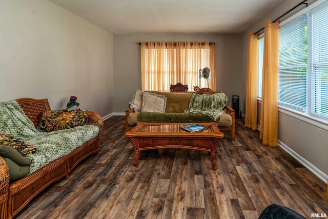 615 W Grand Ave, Carterville, IL 62918 - living area featuring wood finished floors and baseboards